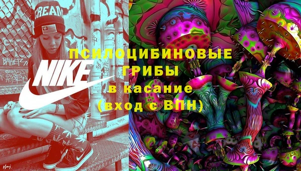 сатива Нягань