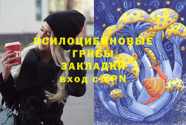гидропоника Балабаново