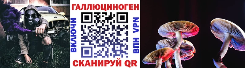 Галлюциногенные грибы Psilocybe Санкт-Петербург