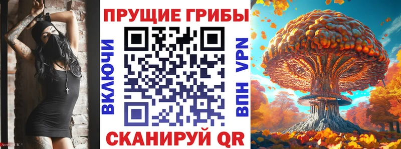 Галлюциногенные грибы Magic Shrooms Санкт-Петербург