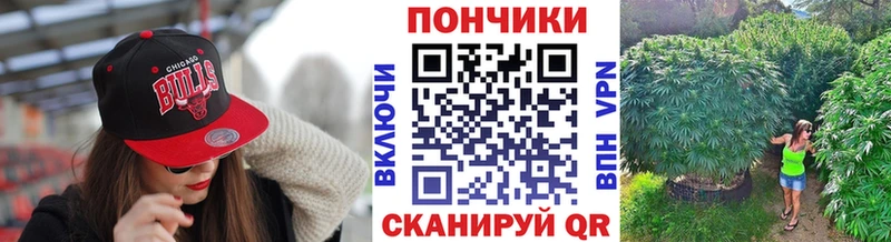купить   Санкт-Петербург  Бошки марихуана план 